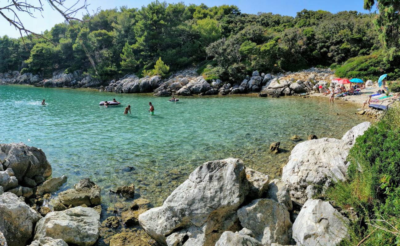 Foto de Jelenovica beach con piedra superficie