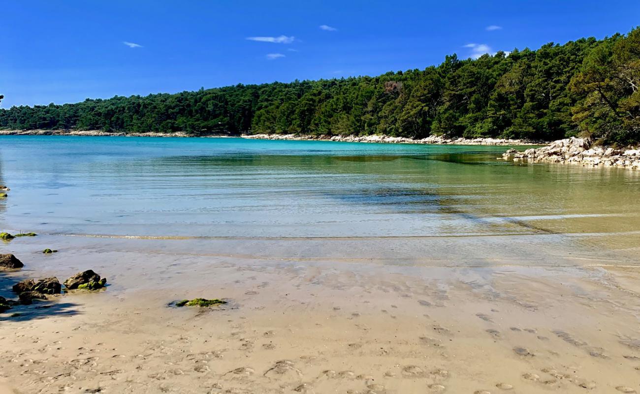 Foto de Chifnata Bay con arena gris y piedras superficie