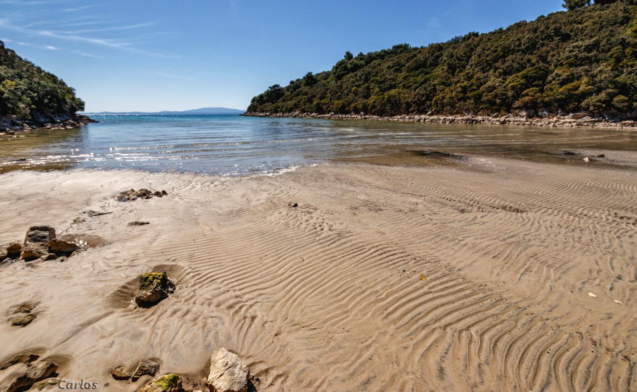 Foto de Valsika beach con arena gris y piedras superficie