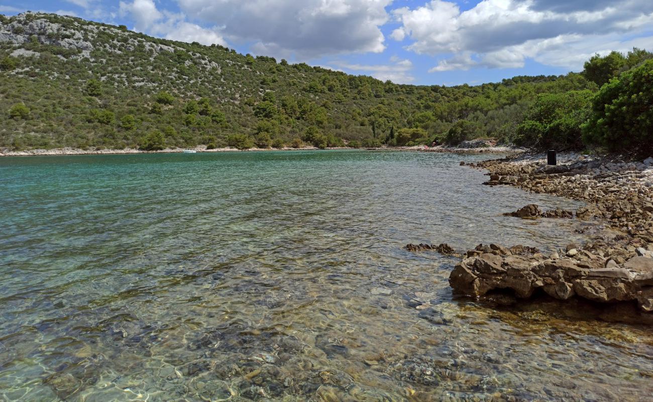 Foto de Jelenica beach con guijarro oscuro superficie