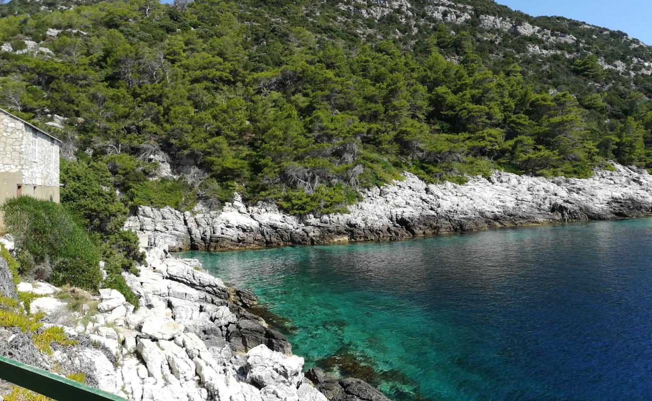 Foto de Barje beach con piedra superficie