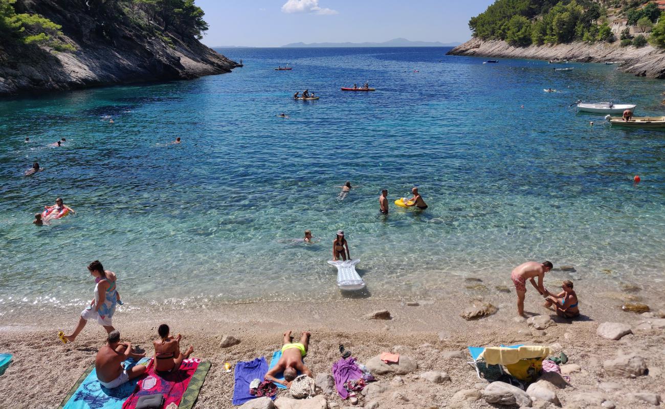 Foto de Bacva Beach con guijarro fino claro superficie