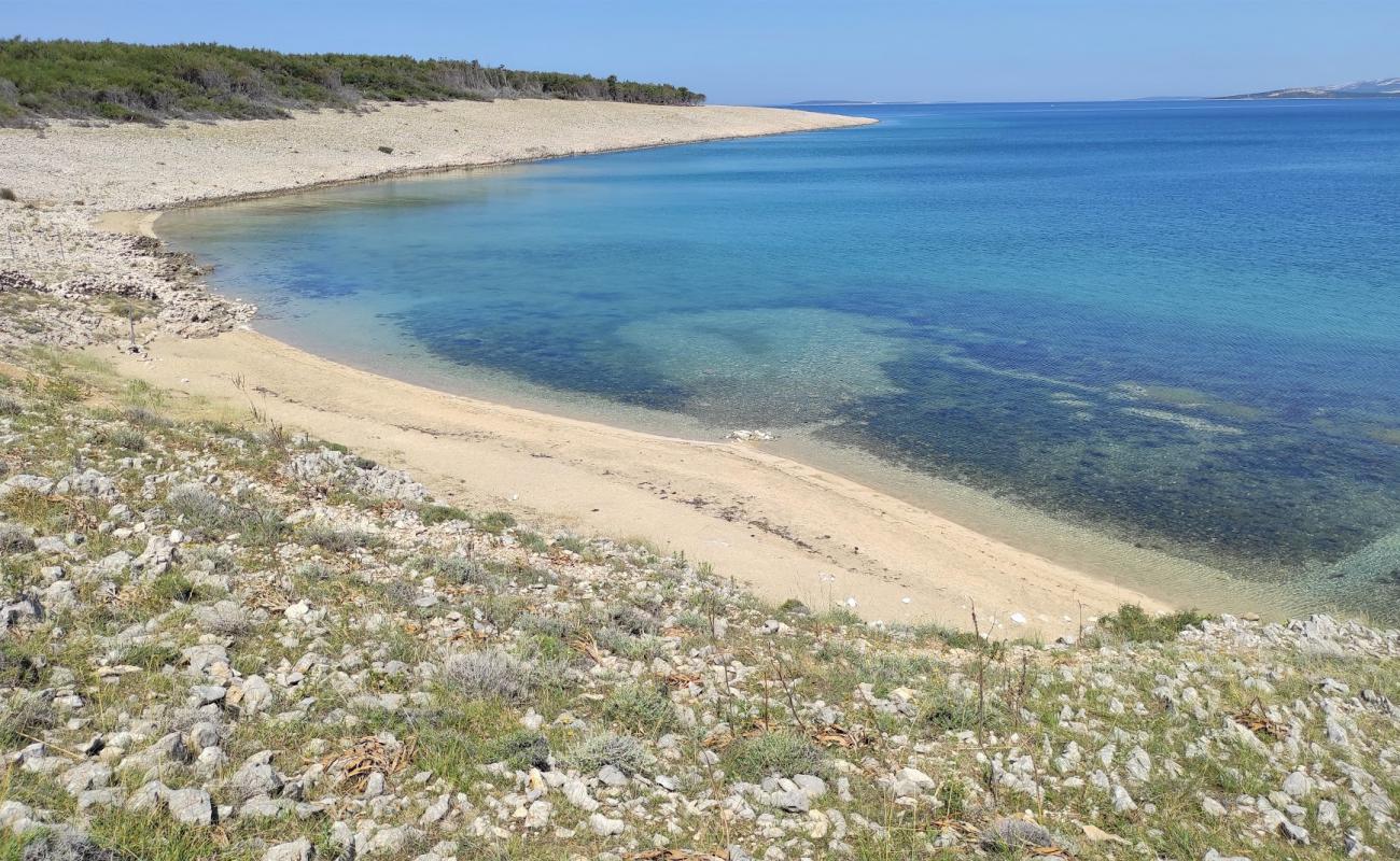 Foto de Povljana Naturist Beach con arena brillante superficie