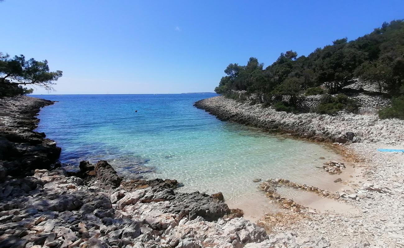 Foto de Cuanguski Zaljev con piedra superficie