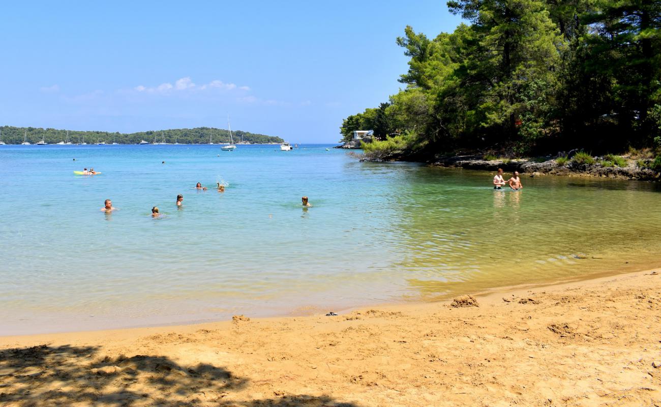 Foto de Sandy Beach, Vitarnja con arena brillante superficie