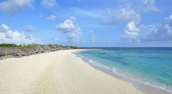 Playa Meliá Buenavista