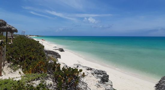 Playa Cayo Santa María V