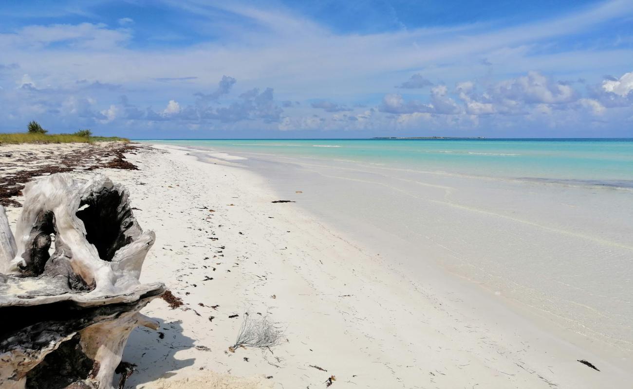 Foto de Playa Las Gaviotas con arena fina blanca superficie