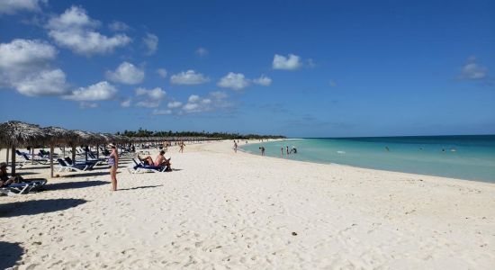 Playa Flamenco