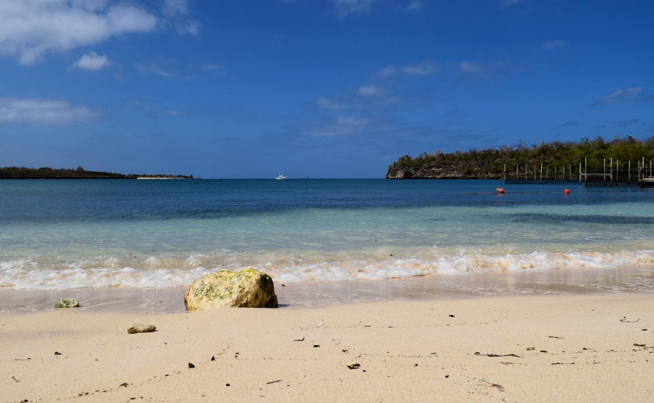 Foto de Playa La Guanas con arena fina y guijarros superficie