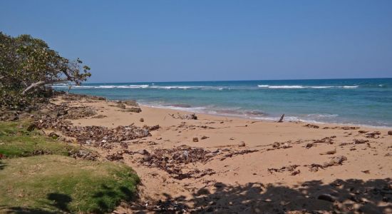 Playa Cajuajo