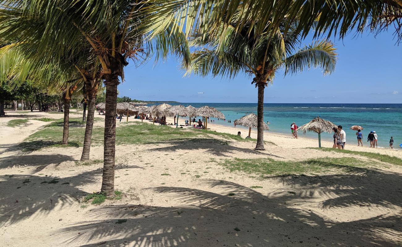 Foto de Playa Rancho Luna con arena brillante superficie