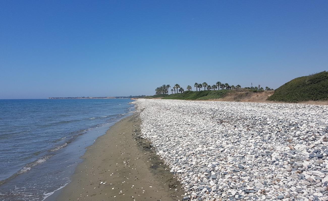 Foto de Mazotos beach con arena brillante superficie