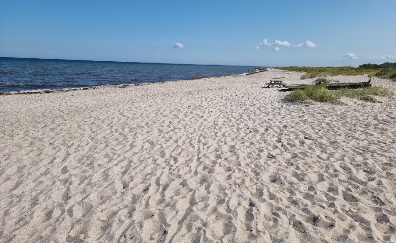 Foto de Kobingsmark Beach con arena brillante superficie