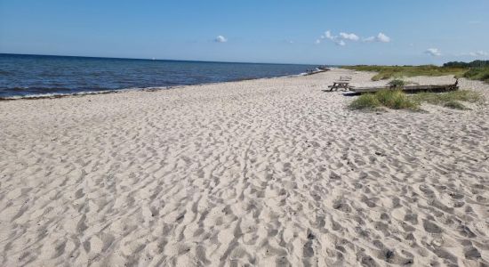 Kobingsmark Beach