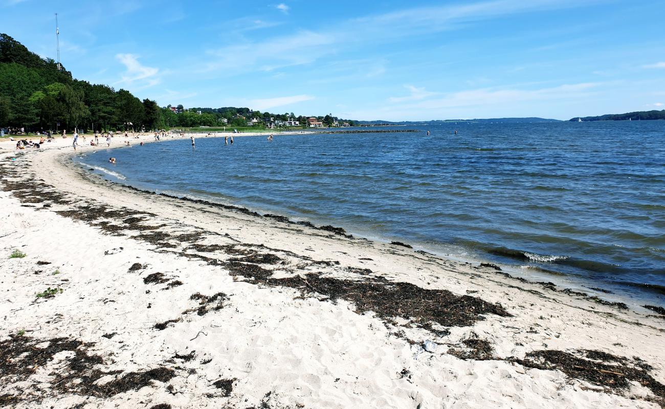 Foto de Albuen Beach con arena brillante superficie