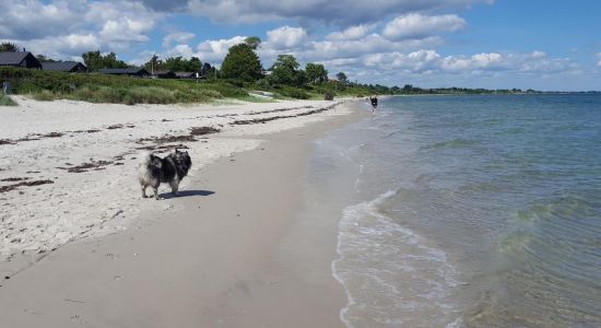 Saksild Beach