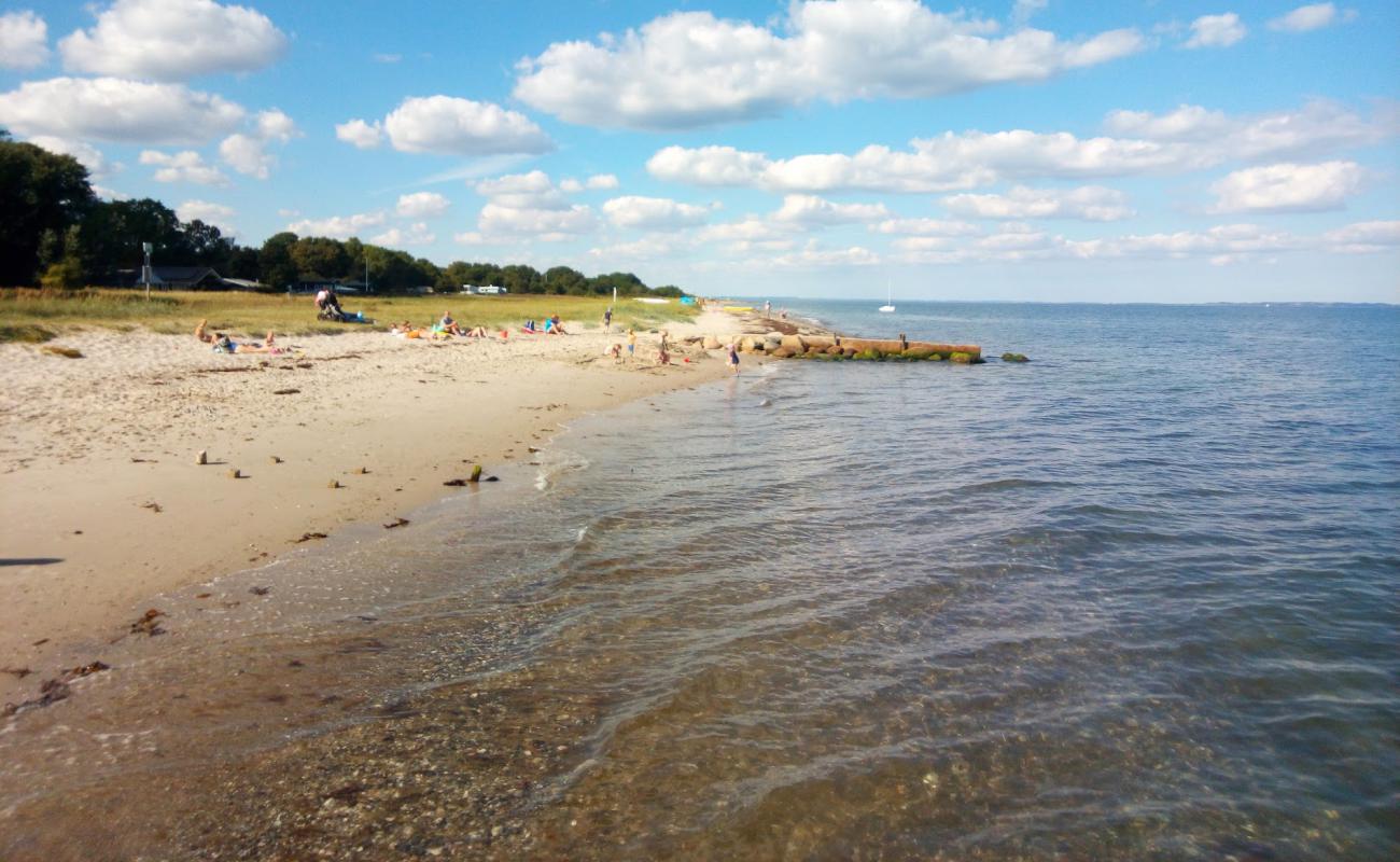 Foto de Ajstrup Beach con arena brillante superficie