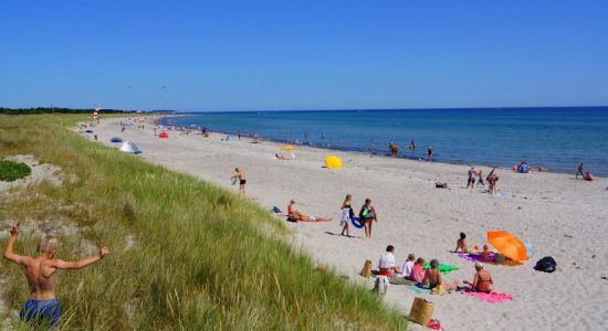 Grenaa Beach