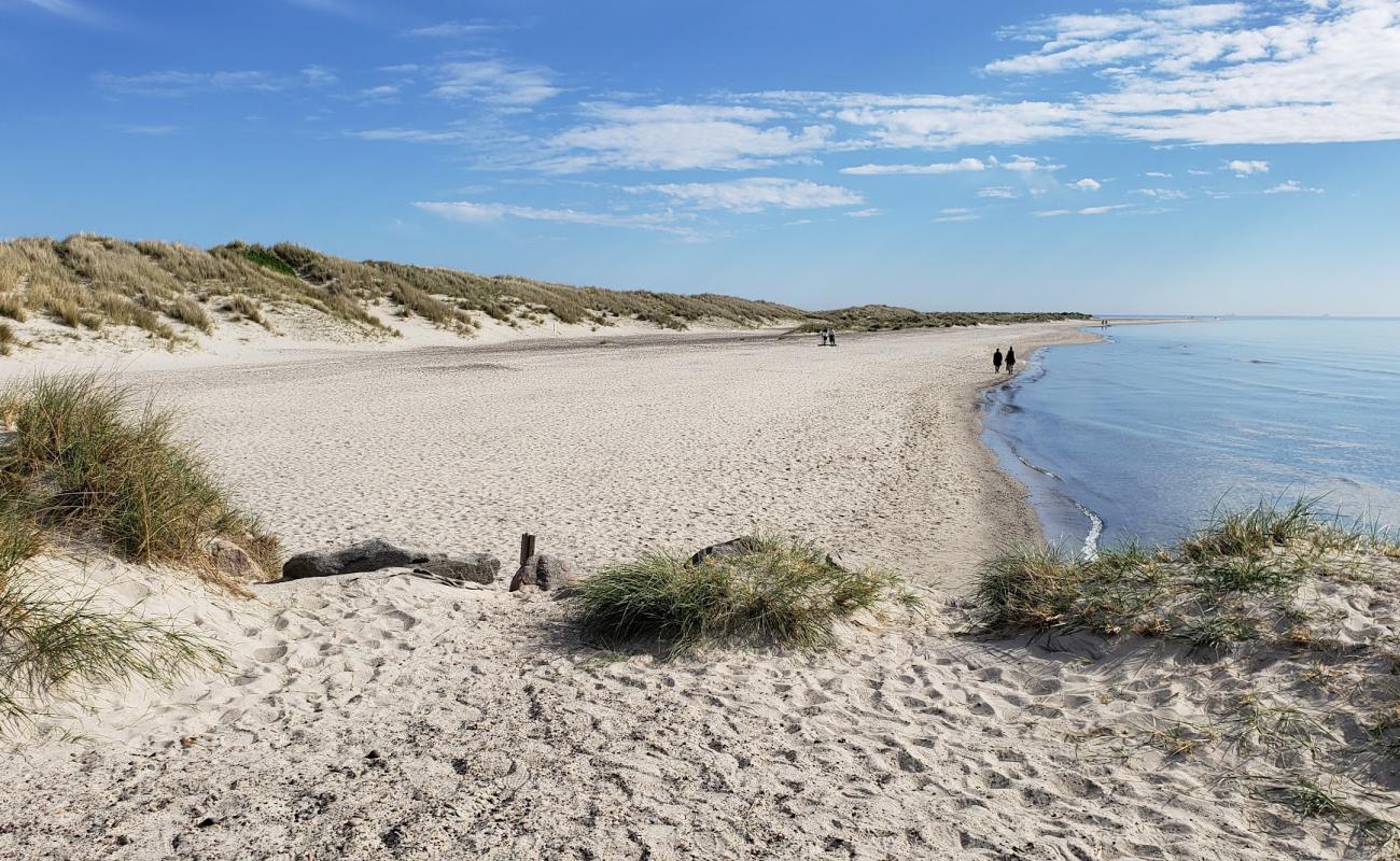 Foto de Skagen Nord Beach con arena brillante superficie