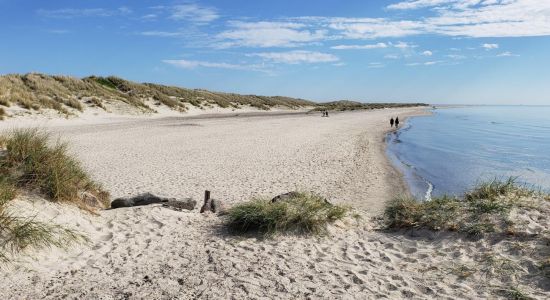 Gammel Skagen Beach