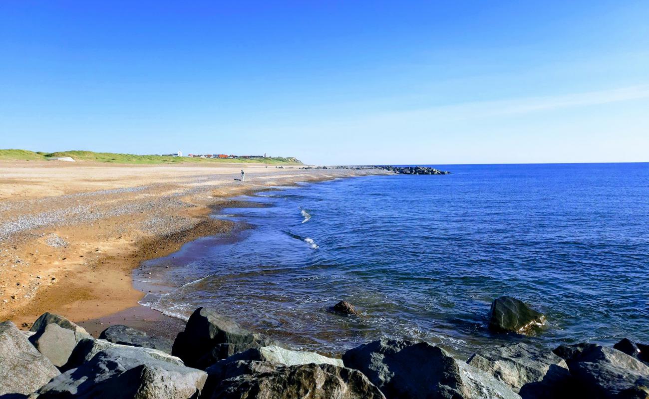 Foto de Ferring Beach con arena brillante superficie