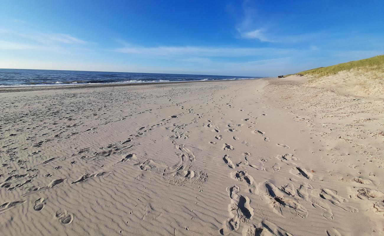 Foto de Spidsbjerg Beach con arena brillante superficie