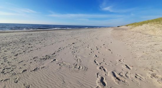 Spidsbjerg Beach