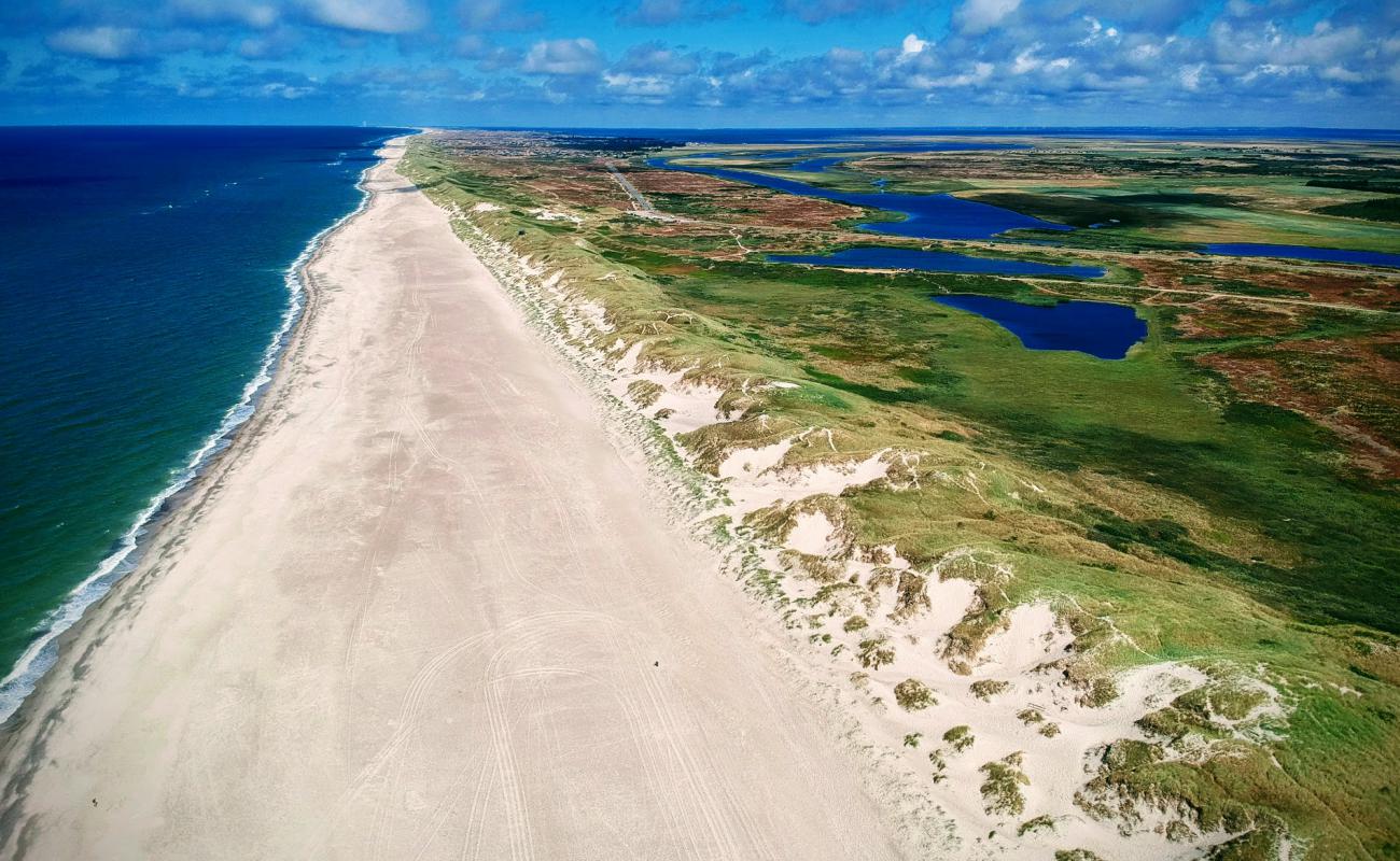 Foto de Nymindegab Beach con arena brillante superficie