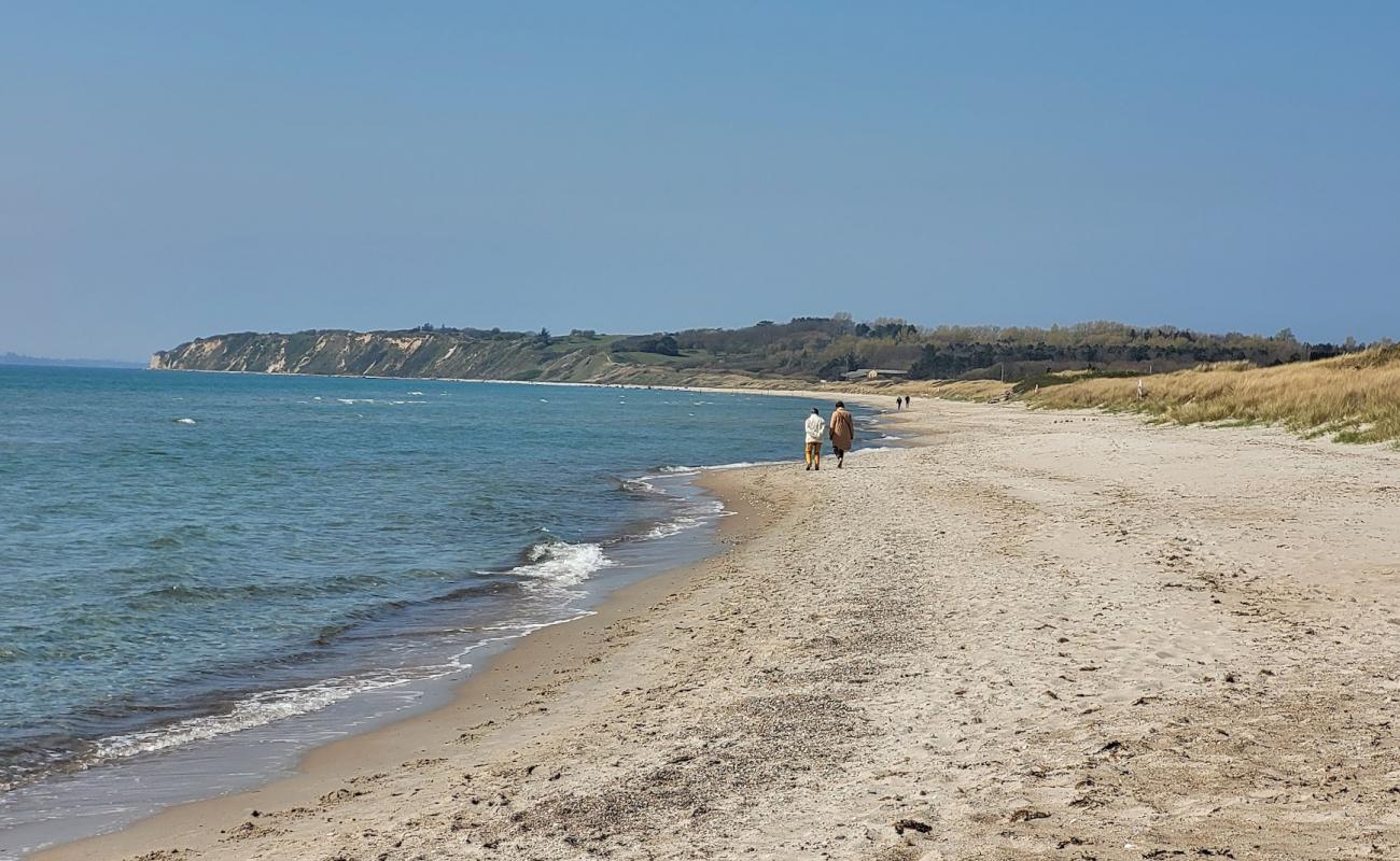 Foto de Bjornhoj Beach con arena brillante superficie