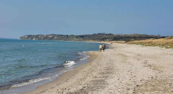 Bjornhoj Beach