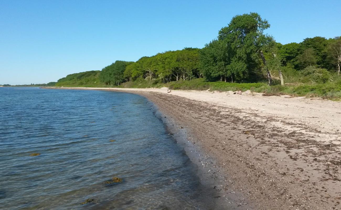 Foto de Lohals Nordstrand Beach con arena brillante superficie