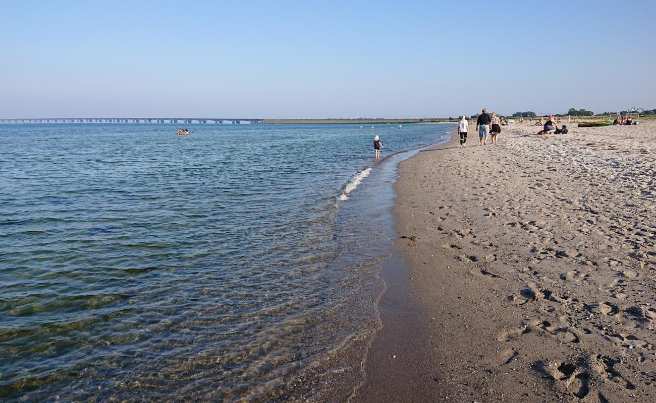 Foto de Nyborg Beach con arena brillante superficie