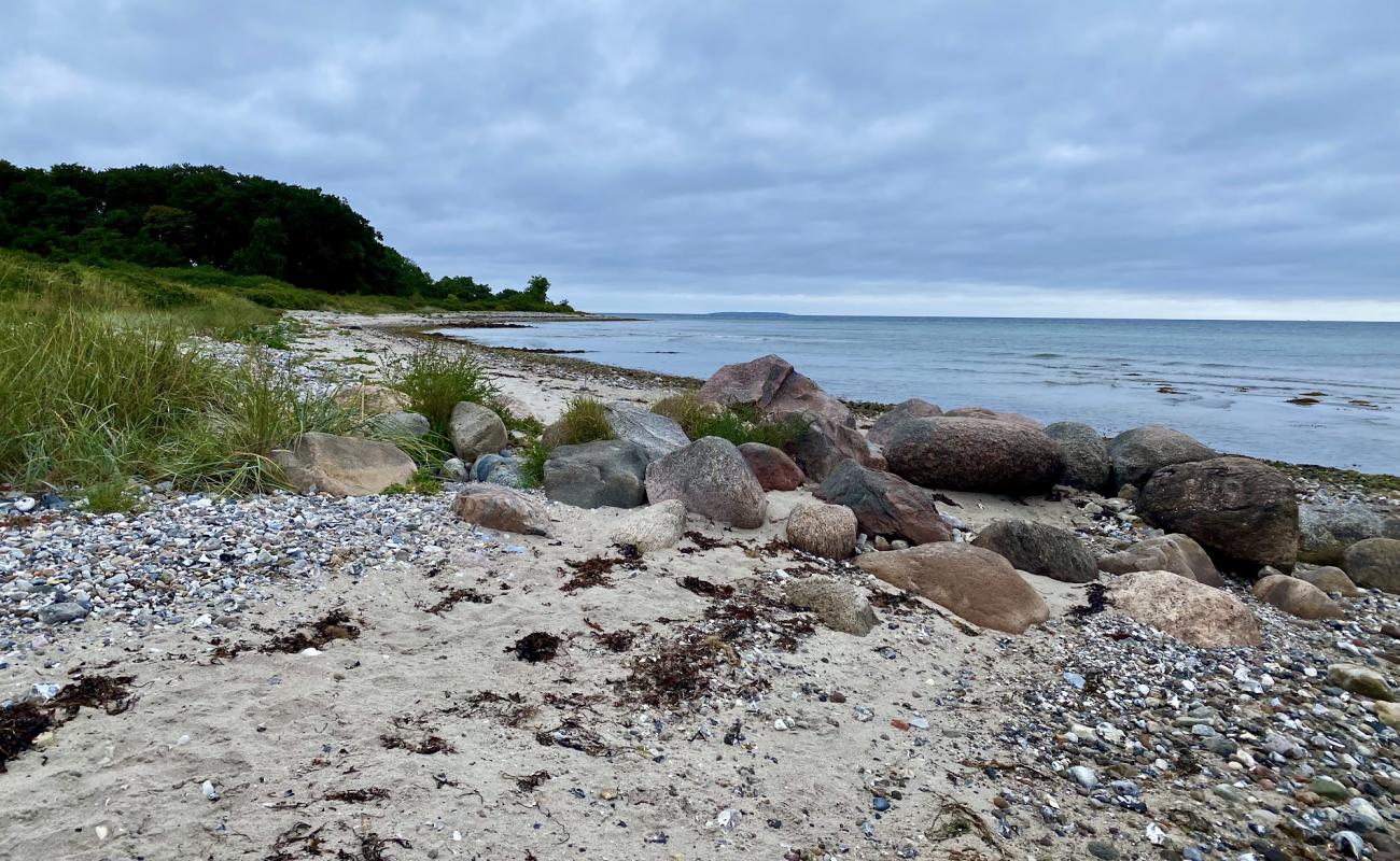 Foto de Nordenhuse Beach con arena fina y guijarros superficie