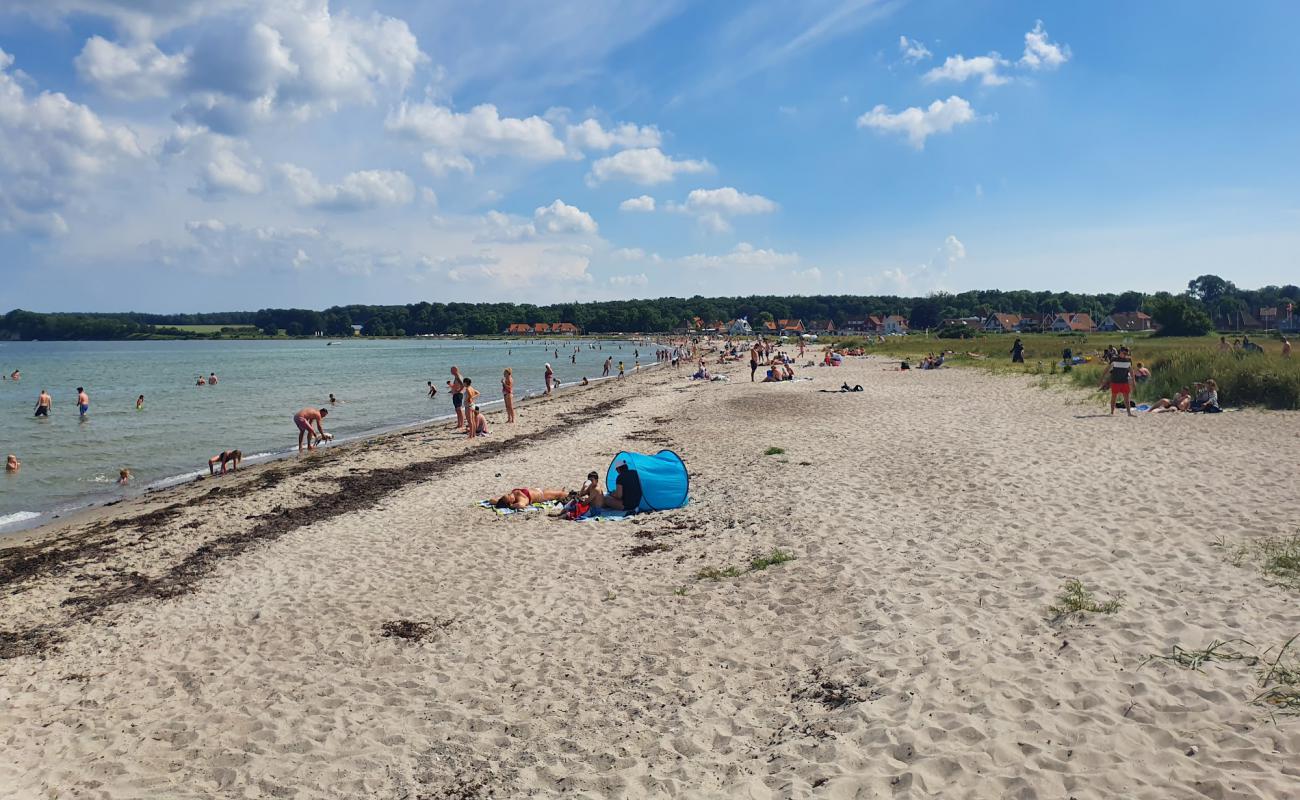 Foto de Kerteminde Beach con arena fina y guijarros superficie