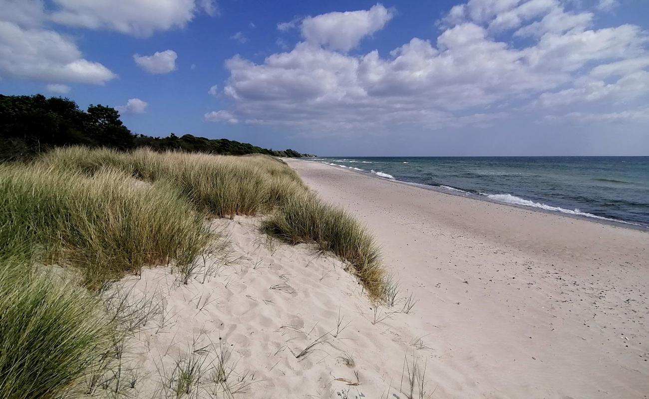 Foto de Klintholm Beach con arena brillante superficie