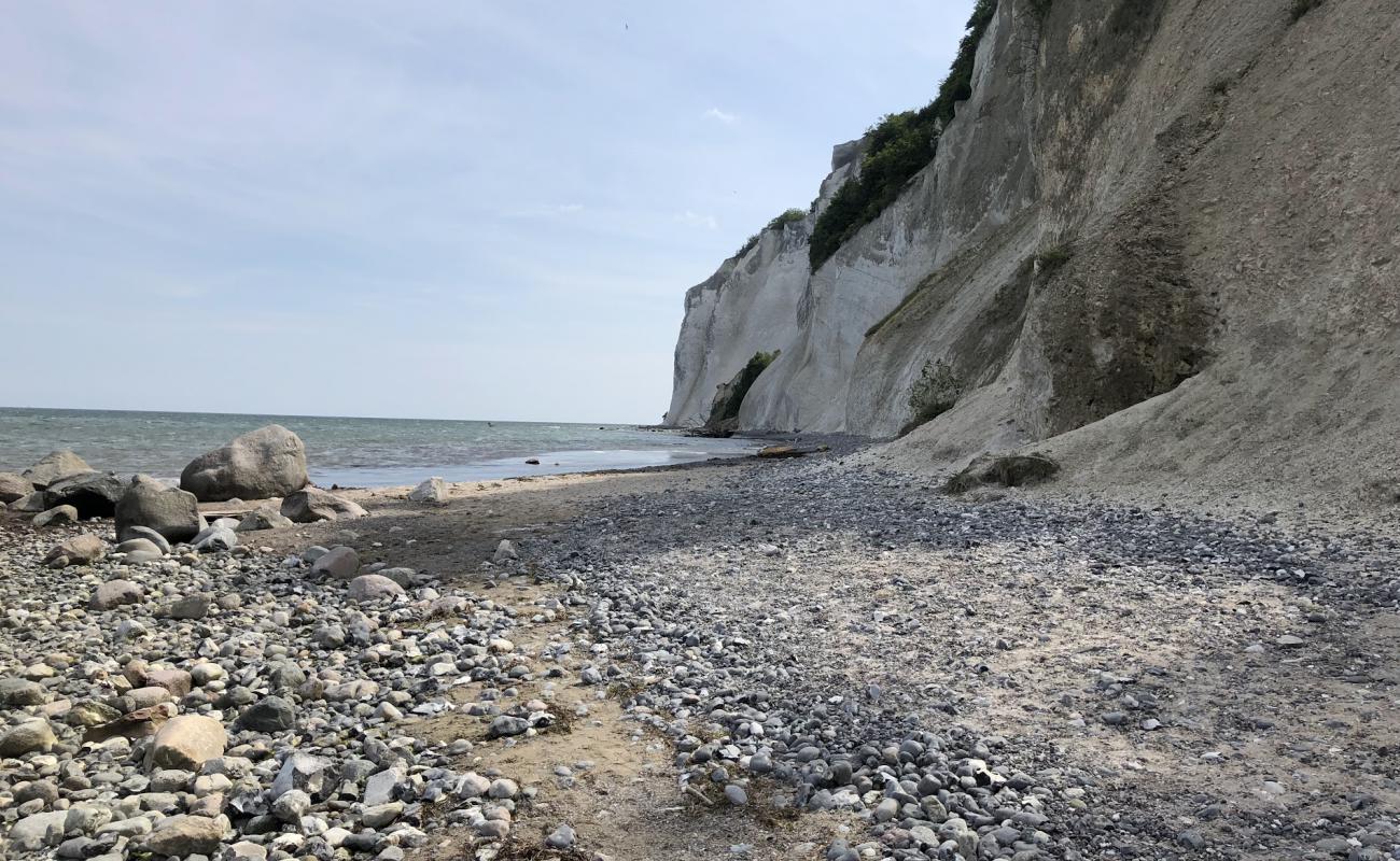 Foto de Stranden Mons Klint Beach con guijarro ligero superficie