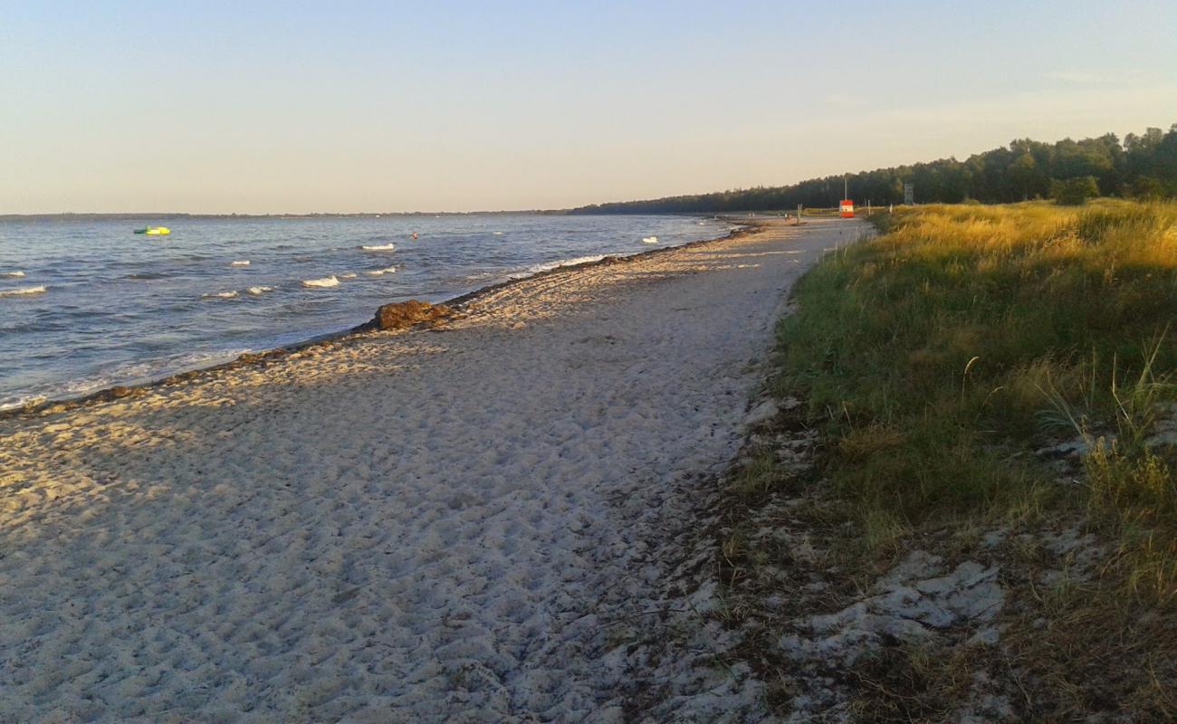 Foto de Fed Beach con arena brillante superficie