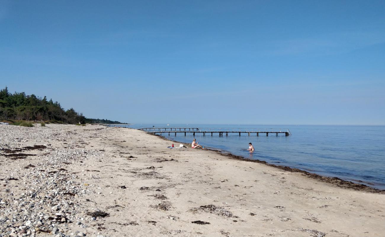 Foto de Smidstrup Beach con arena fina y guijarros superficie