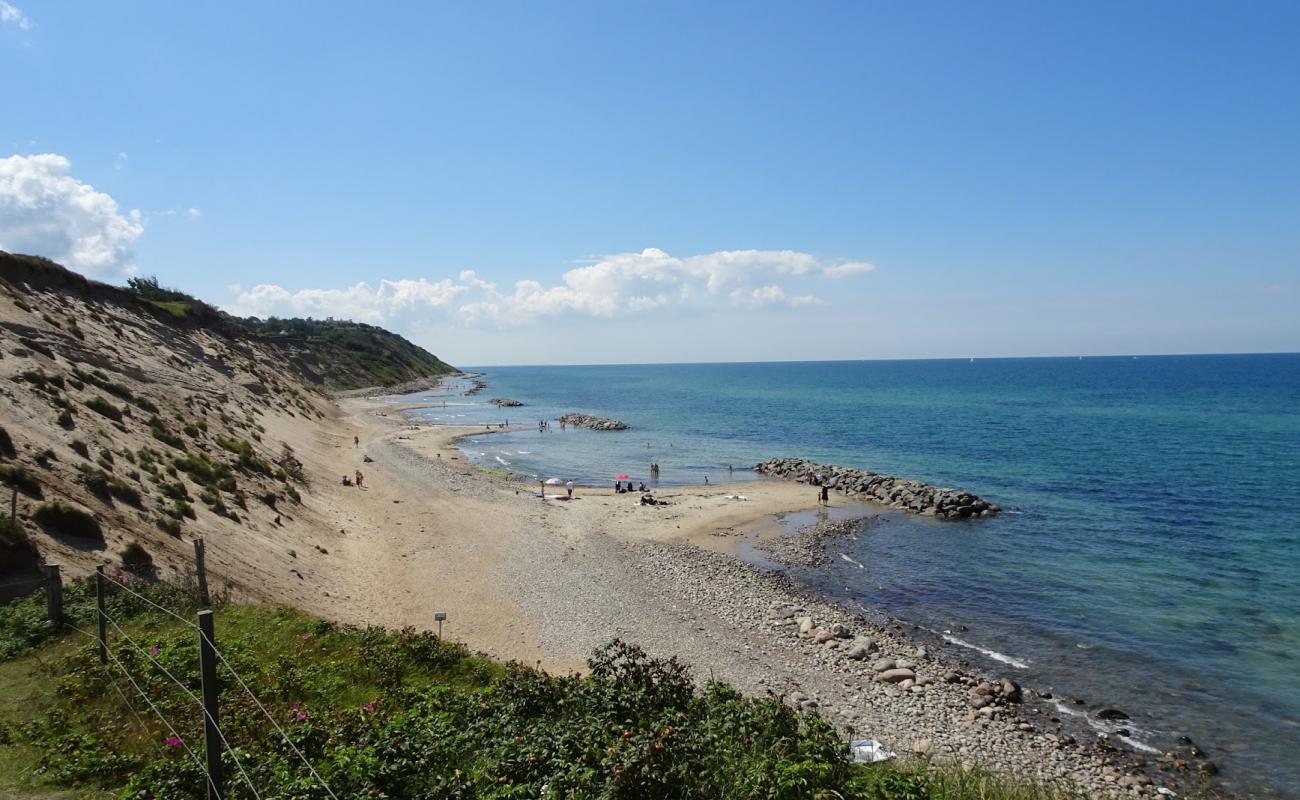 Foto de Vejby Beach con arena brillante superficie