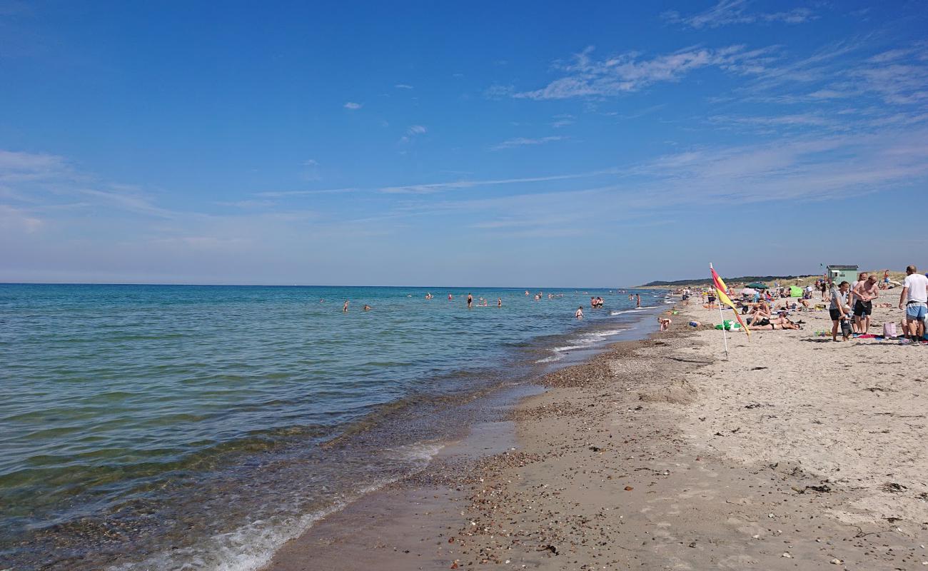 Foto de Stangehus Beach con arena fina y guijarros superficie