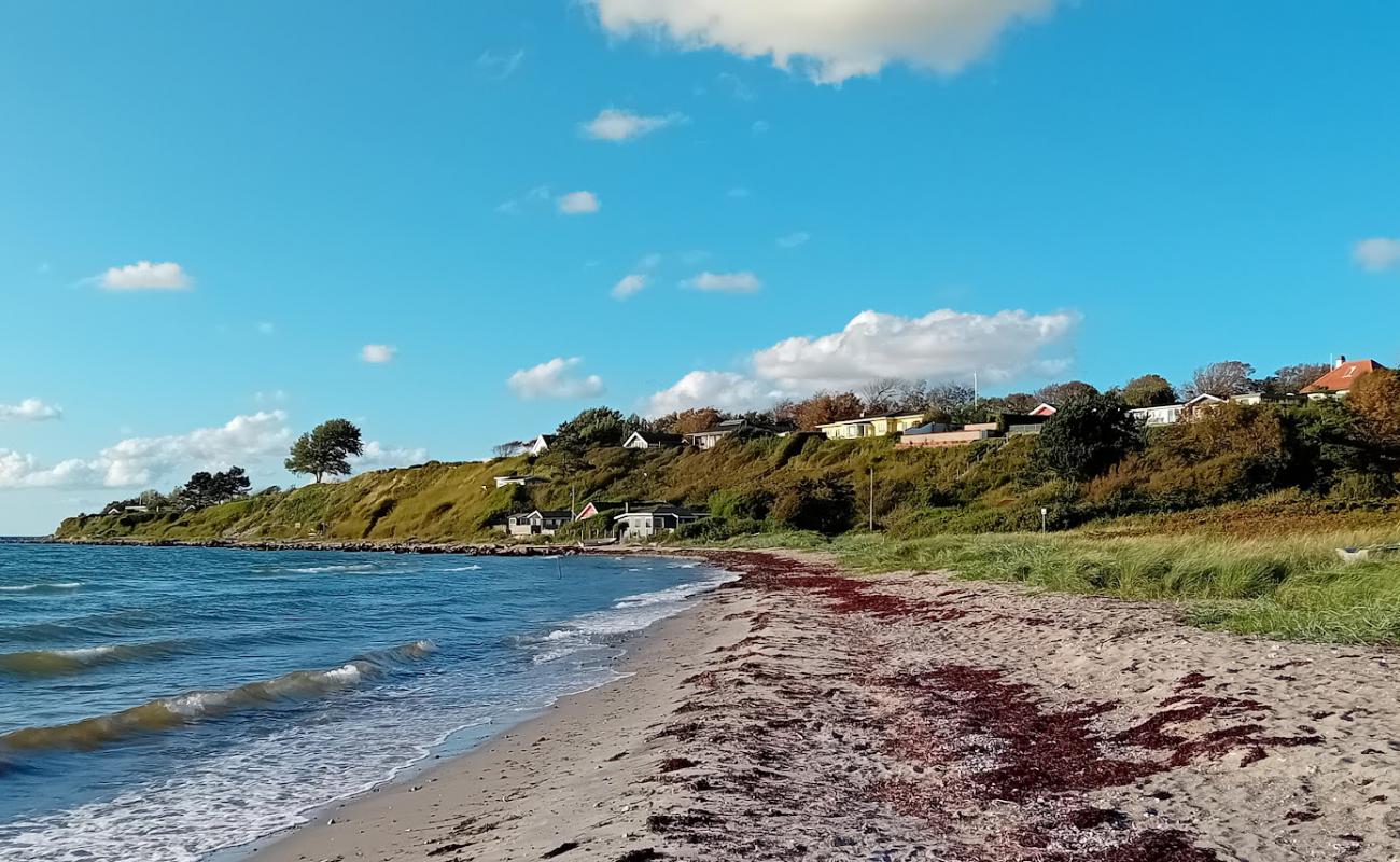 Foto de Naesby Beach con arena brillante superficie