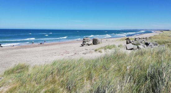 Playa de Thorup