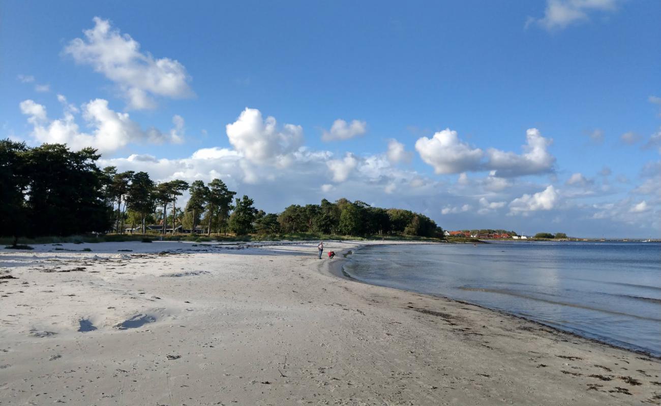 Foto de Snogebaek Strand con arena brillante superficie