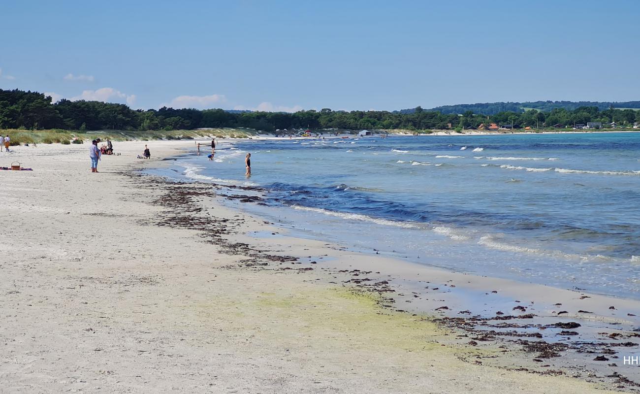 Foto de Balka Strand Bornholm con arena brillante superficie