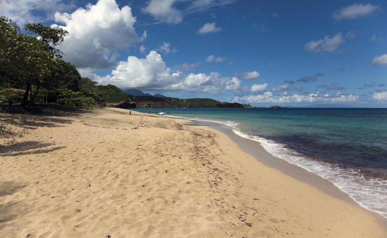 Foto de La Taile Bay Beach con arena oscura superficie