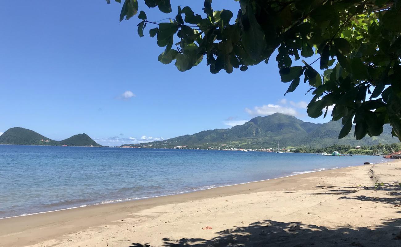 Foto de Coconut Beach con arena oscura superficie