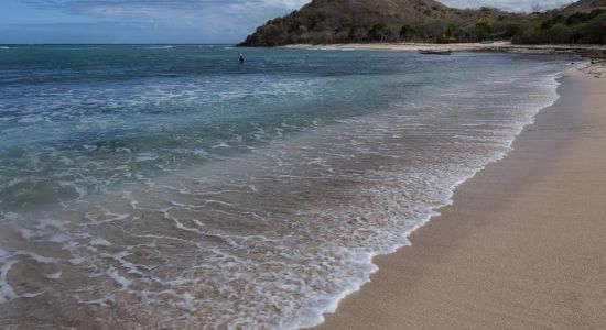 Playa Los Cocos