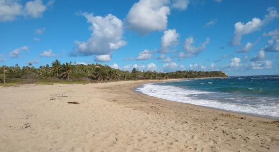 Playa Guzmancito