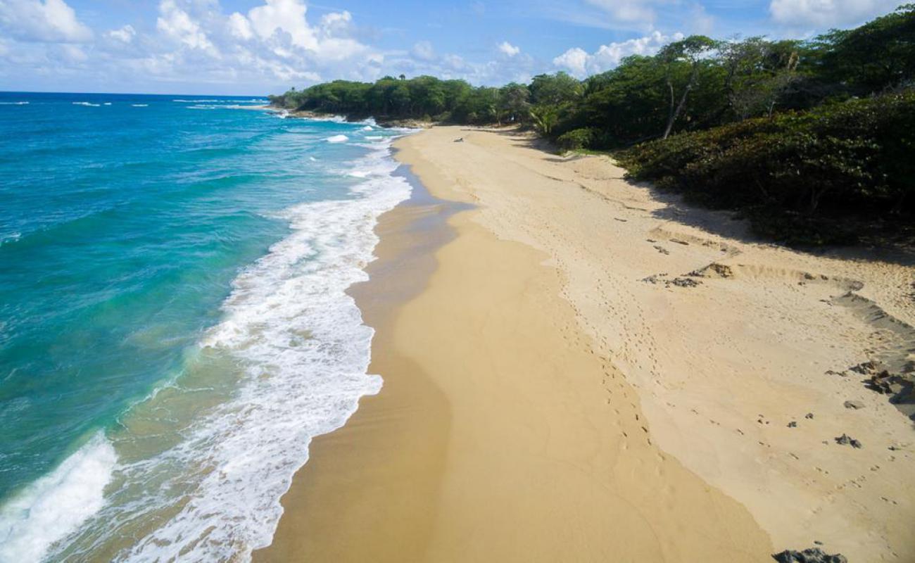 Foto de Playa perla marina con arena brillante superficie